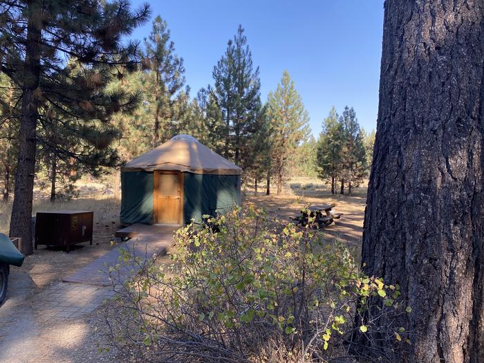 A photo of Site 191 of Loop Yurts at FALLEN LEAF CAMPGROUND with Picnic Table, Fire Pit, Food Storage