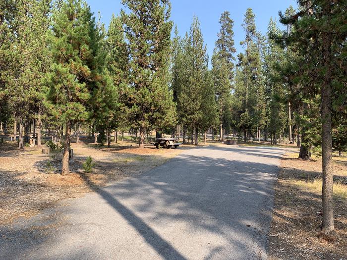 A photo of Site D02 of Loop Loop D at BROKEN ARROW CAMPGROUND with Picnic Table, Fire Pit, Shade, Tent Pad