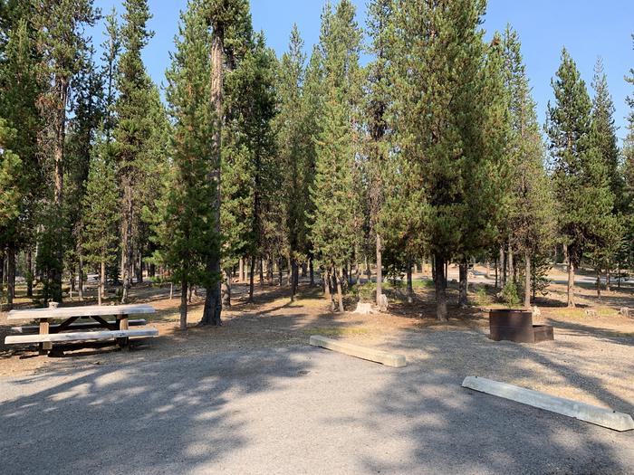 A photo of Site D02 of Loop Loop D at BROKEN ARROW CAMPGROUND with Picnic Table, Fire Pit, Shade, Tent Pad