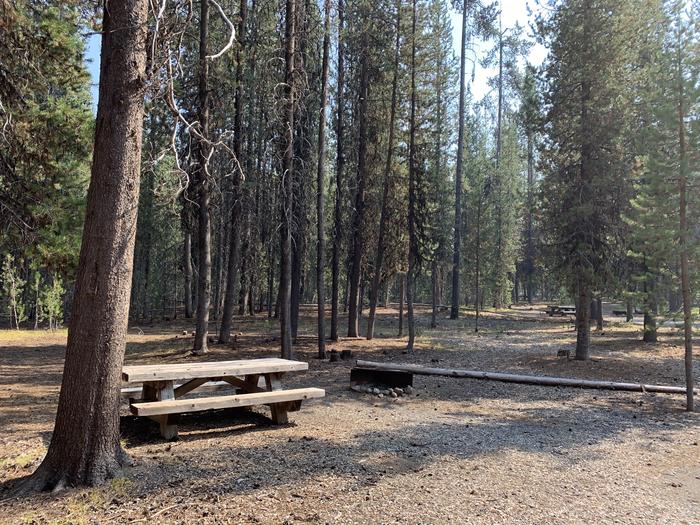 A photo of Site C10 of Loop Loop C at BROKEN ARROW CAMPGROUND with Picnic Table, Fire Pit, Shade, Tent Pad