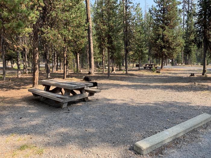 A photo of Site D04 of Loop Loop D at BROKEN ARROW CAMPGROUND with Picnic Table, Fire Pit, Shade, Tent Pad