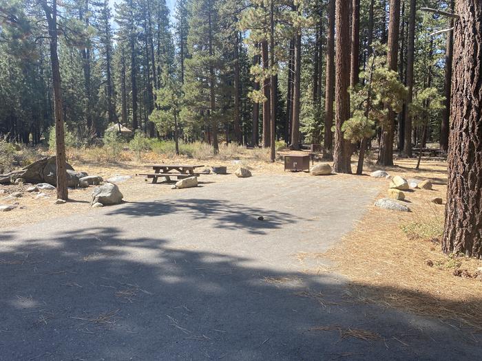 A photo of Site 036 of Loop AREA FALLEN LEAF CAMPGROUND at FALLEN LEAF CAMPGROUND with Picnic Table, Fire Pit, Food Storage