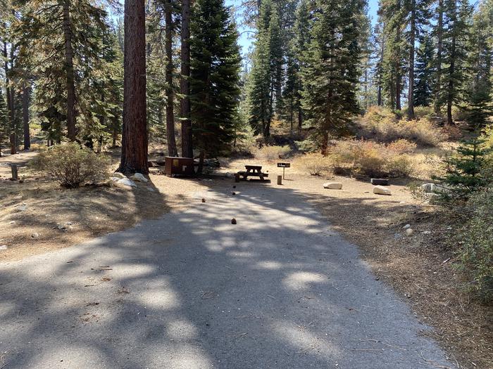 A photo of Site 085 of Loop AREA FALLEN LEAF CAMPGROUND at FALLEN LEAF CAMPGROUND with Picnic Table, Fire Pit, Food Storage