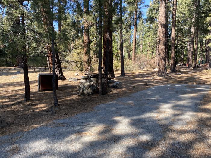 A photo of Site 204 of Loop AREA FALLEN LEAF CAMPGROUND at FALLEN LEAF CAMPGROUND with Picnic Table, Fire Pit, Food Storage