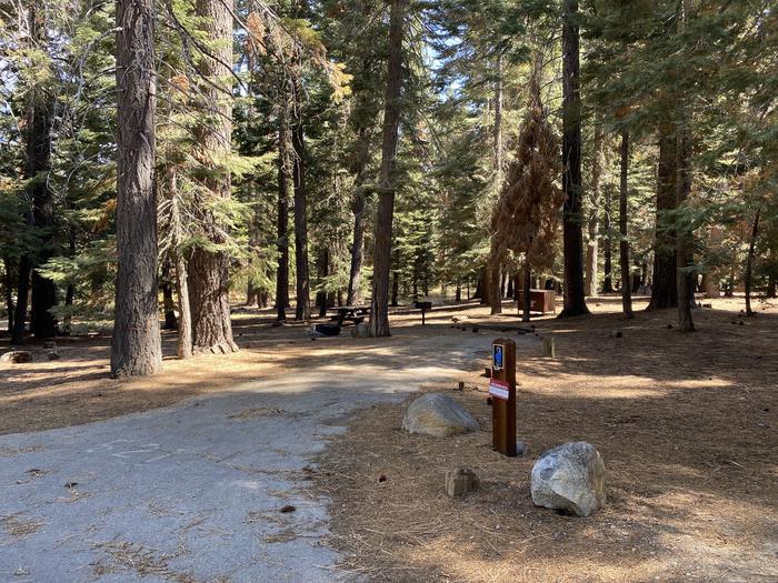A photo of Site 073 of Loop AREA FALLEN LEAF CAMPGROUND at FALLEN LEAF CAMPGROUND with Picnic Table, Fire Pit, Food Storage