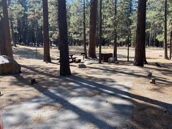 A photo of Site 103 of Loop AREA FALLEN LEAF CAMPGROUND at FALLEN LEAF CAMPGROUND with Picnic Table, Fire Pit, Food Storage