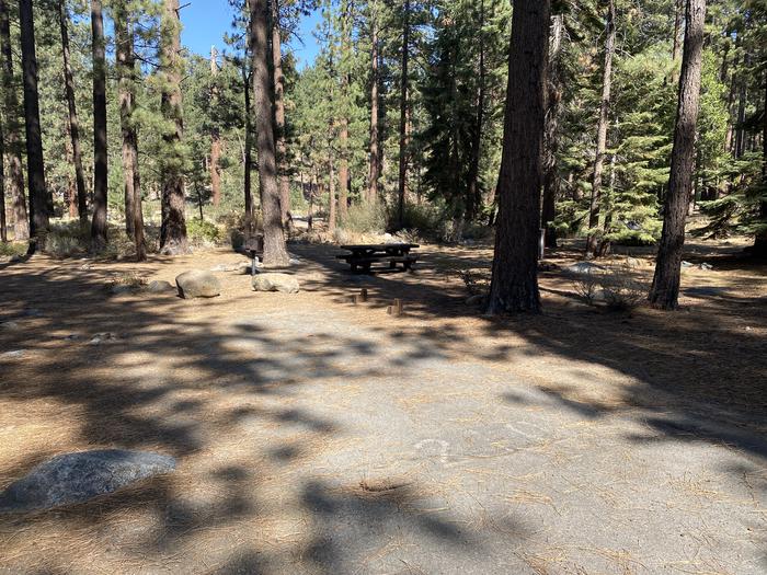 A photo of Site 126 of Loop AREA FALLEN LEAF CAMPGROUND at FALLEN LEAF CAMPGROUND with Picnic Table, Fire Pit, Food Storage