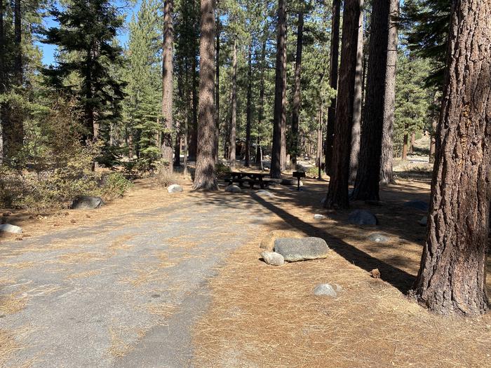 A photo of Site 100 of Loop AREA FALLEN LEAF CAMPGROUND at FALLEN LEAF CAMPGROUND with Picnic Table, Fire Pit, Food Storage