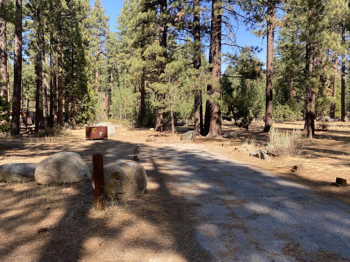 A photo of Site 132 of Loop AREA FALLEN LEAF CAMPGROUND at FALLEN LEAF CAMPGROUND with Picnic Table, Fire Pit, Food Storage