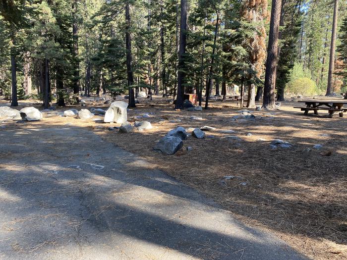 A photo of Site 176 of Loop AREA FALLEN LEAF CAMPGROUND at FALLEN LEAF CAMPGROUND with Picnic Table, Fire Pit, Food Storage