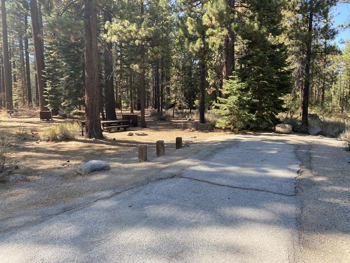 A photo of Site 136 of Loop AREA FALLEN LEAF CAMPGROUND at FALLEN LEAF CAMPGROUND with Picnic Table, Fire Pit, Food Storage