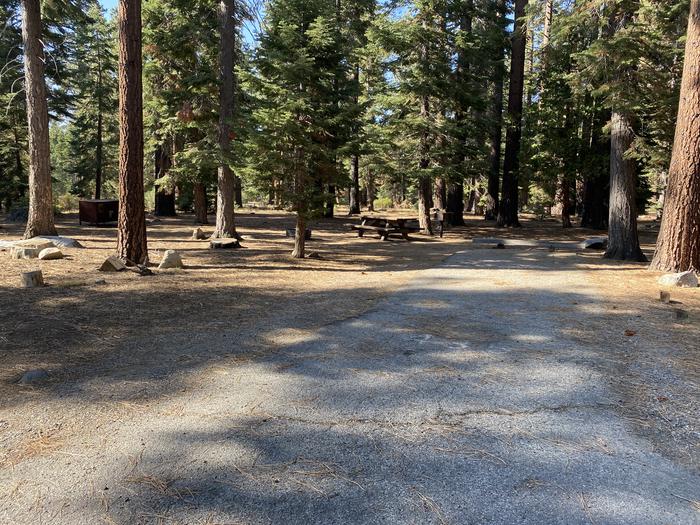 A photo of Site 177 of Loop AREA FALLEN LEAF CAMPGROUND at FALLEN LEAF CAMPGROUND with Picnic Table, Fire Pit, Food Storage