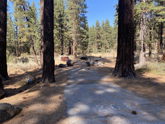 A photo of Site 124 of Loop AREA FALLEN LEAF CAMPGROUND at FALLEN LEAF CAMPGROUND with Picnic Table, Fire Pit, Food Storage