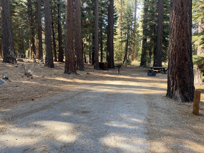 A photo of Site 192 of Loop AREA FALLEN LEAF CAMPGROUND at FALLEN LEAF CAMPGROUND with Picnic Table, Fire Pit, Food Storage