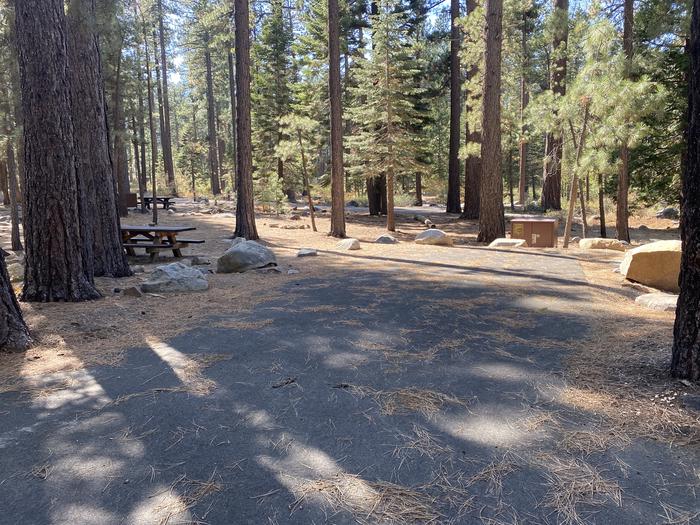 A photo of Site 125 of Loop AREA FALLEN LEAF CAMPGROUND at FALLEN LEAF CAMPGROUND with Picnic Table, Fire Pit, Food Storage