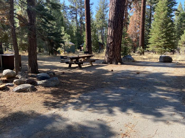 A photo of Site 185 of Loop AREA FALLEN LEAF CAMPGROUND at FALLEN LEAF CAMPGROUND with Picnic Table, Fire Pit, Food Storage