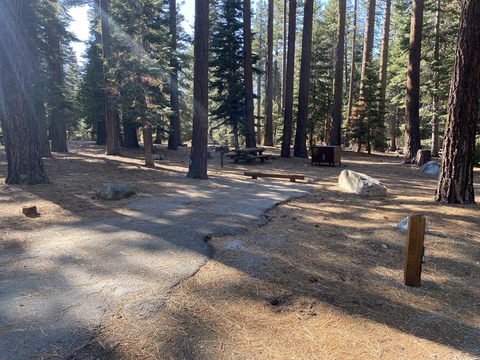 A photo of Site 175 of Loop AREA FALLEN LEAF CAMPGROUND at FALLEN LEAF CAMPGROUND with Picnic Table, Fire Pit, Food Storage