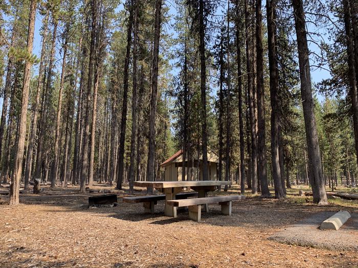 A photo of Site C01 of Loop Loop C at BROKEN ARROW CAMPGROUND with Picnic Table, Fire Pit, Shade, Tent Pad