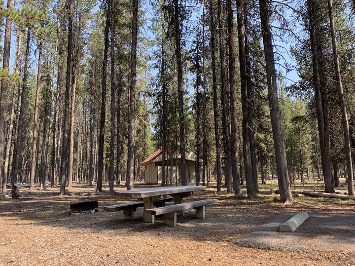 A photo of Site C01 of Loop AREA BROKEN ARROW GROUP at BROKEN ARROW CAMPGROUND with Picnic Table, Fire Pit, Shade, Tent Pad