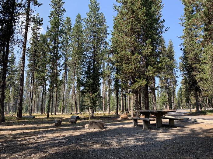 A photo of Site B07 of Loop Loop B at BROKEN ARROW CAMPGROUND with Picnic Table, Fire Pit, Shade, Tent Pad