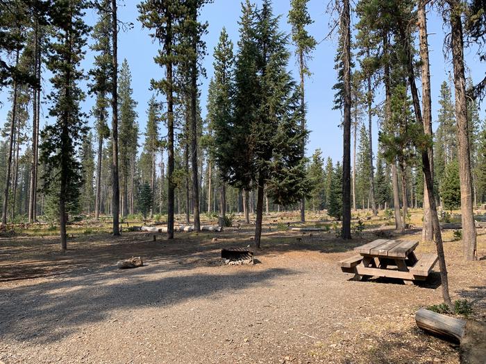 A photo of Site D05 of Loop Loop D at BROKEN ARROW CAMPGROUND with Picnic Table, Fire Pit, Shade, Tent Pad