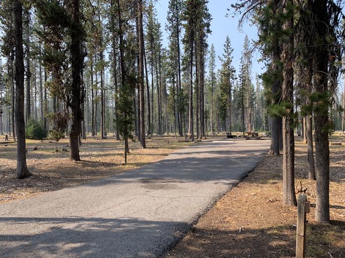 A photo of Site D07 of Loop Loop D at BROKEN ARROW CAMPGROUND with Picnic Table, Fire Pit, Shade, Tent Pad