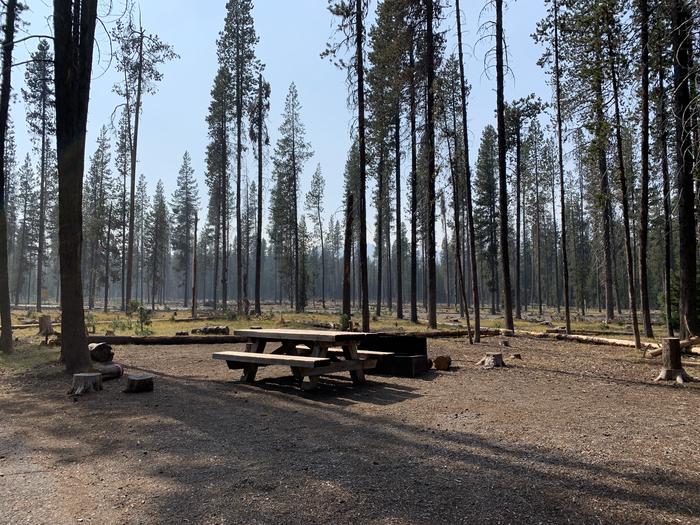 A photo of Site D08 of Loop Loop D at BROKEN ARROW CAMPGROUND with Picnic Table, Fire Pit, Shade, Tent Pad