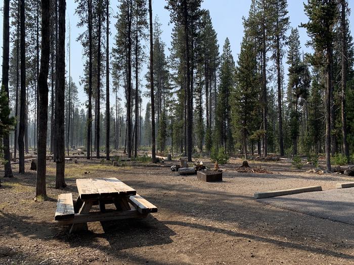 A photo of Site D10 of Loop Loop D at BROKEN ARROW CAMPGROUND with Picnic Table, Fire Pit, Shade, Tent Pad