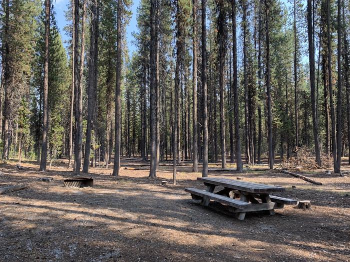 A photo of Site C11 of Loop Loop C at BROKEN ARROW CAMPGROUND with Picnic Table, Fire Pit, Shade, Tent Pad