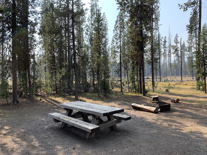 A photo of Site D09 of Loop Loop D at BROKEN ARROW CAMPGROUND with Picnic Table, Fire Pit, Shade, Tent Pad