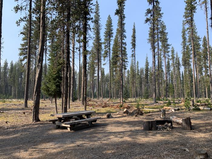 A photo of Site D06 of Loop Loop D at BROKEN ARROW CAMPGROUND with Picnic Table, Fire Pit, Shade, Tent Pad