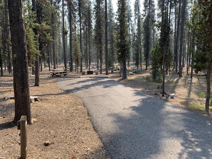 A photo of Site D03 of Loop Loop D at BROKEN ARROW CAMPGROUND with Picnic Table, Fire Pit, Shade, Tent Pad