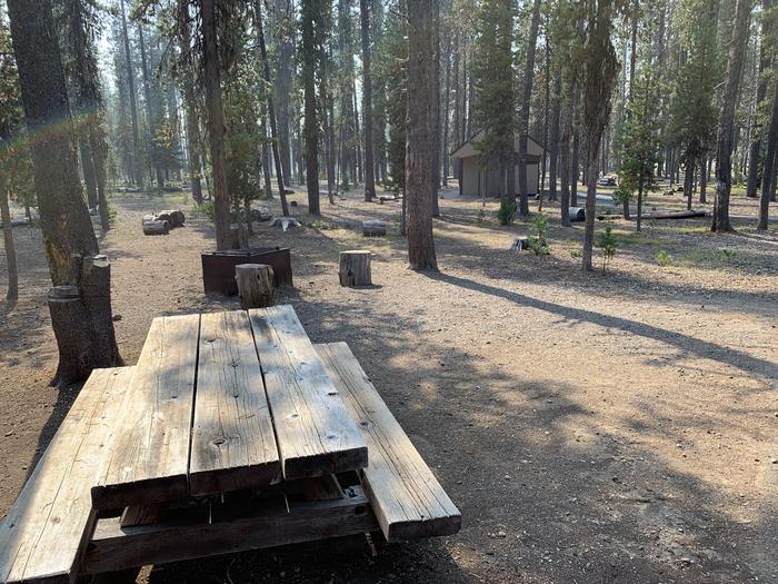 A photo of Site D03 of Loop Loop D at BROKEN ARROW CAMPGROUND with Picnic Table, Fire Pit, Shade, Tent Pad