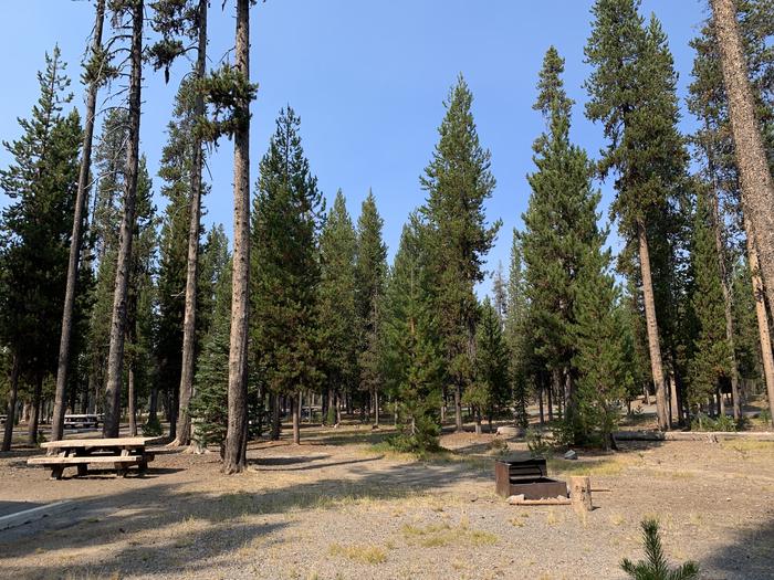 A photo of Site D01 of Loop Loop D at BROKEN ARROW CAMPGROUND with Picnic Table, Fire Pit, Shade, Tent Pad