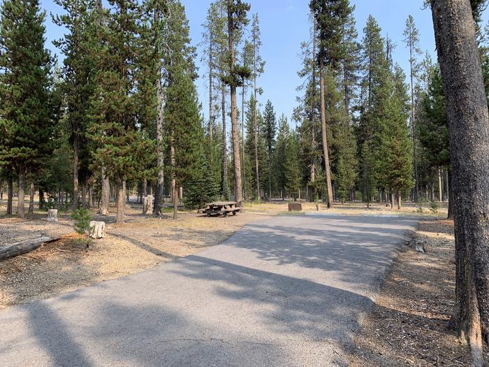 A photo of Site D01 of Loop Loop D at BROKEN ARROW CAMPGROUND with Picnic Table, Fire Pit, Shade, Tent Pad