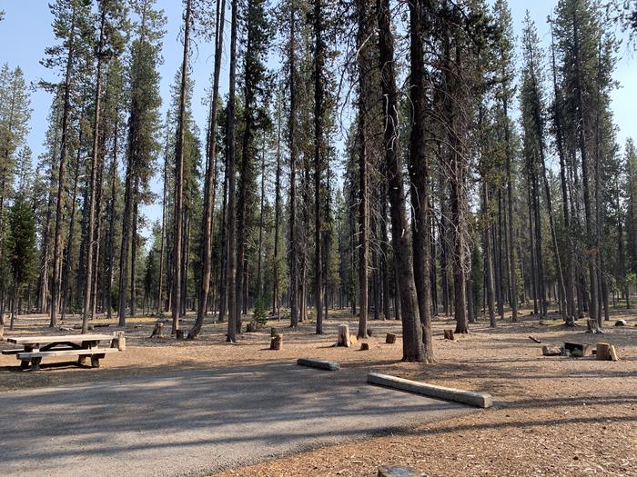 A photo of Site D12 of Loop Loop D at BROKEN ARROW CAMPGROUND with Picnic Table, Fire Pit, Shade, Tent Pad