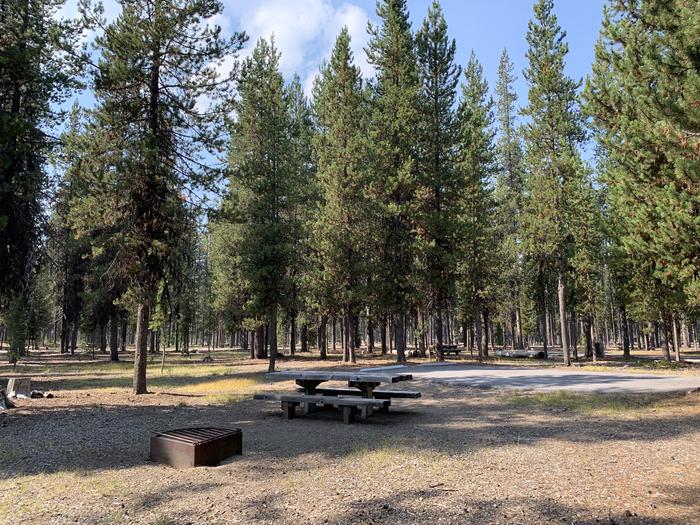 A photo of Site C03 of Loop AREA BROKEN ARROW GROUP at BROKEN ARROW CAMPGROUND with Picnic Table, Fire Pit, Shade, Tent Pad