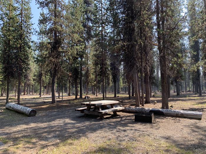 A photo of Site C02 of Loop AREA BROKEN ARROW GROUP at BROKEN ARROW CAMPGROUND with Picnic Table, Fire Pit, Shade, Tent Pad