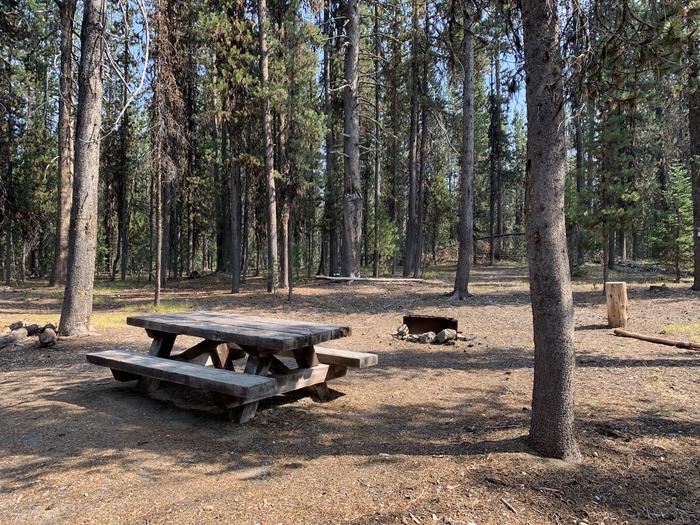 A photo of Site C07 of Loop Loop C at BROKEN ARROW CAMPGROUND with Picnic Table, Fire Pit, Shade, Tent Pad