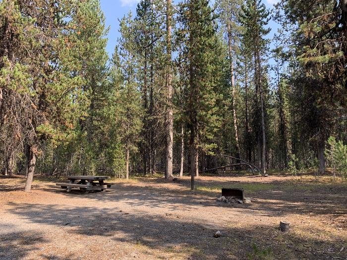 A photo of Site C08 of Loop Loop C at BROKEN ARROW CAMPGROUND with Picnic Table, Fire Pit, Shade, Tent Pad