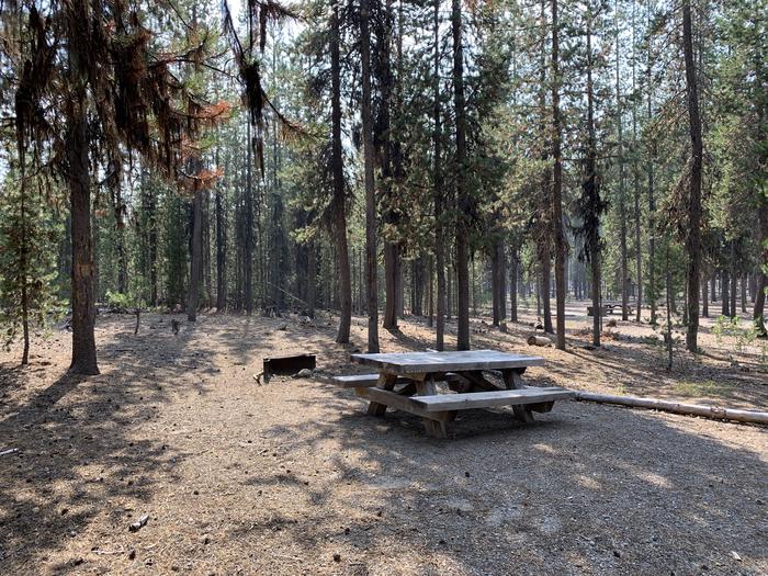 A photo of Site C06 of Loop Loop C at BROKEN ARROW CAMPGROUND with Picnic Table, Fire Pit, Shade, Tent Pad