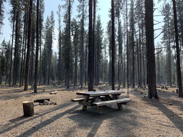 A photo of Site D13 of Loop Loop D at BROKEN ARROW CAMPGROUND with Picnic Table, Fire Pit, Shade, Tent Pad