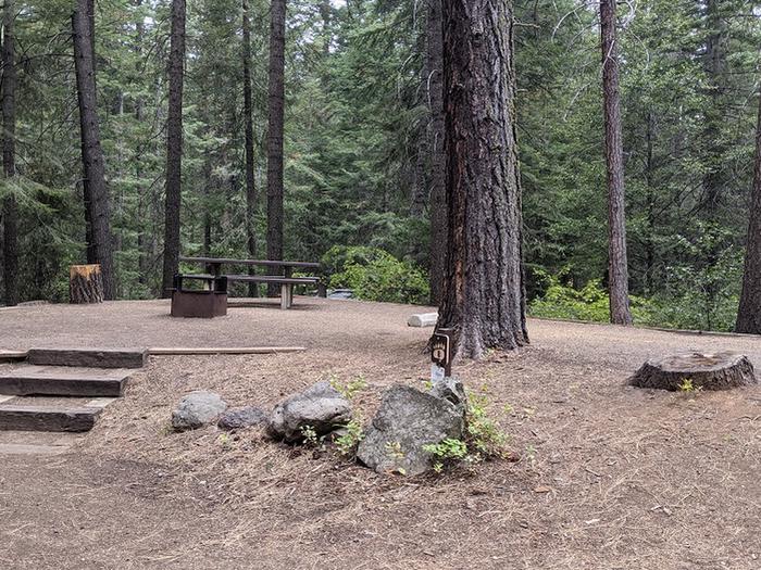 Spring Creek Campground Site 8 - short set of stairs up to picnic table and fire ring with forested surroundings. Spring Creek Campground Site 8 