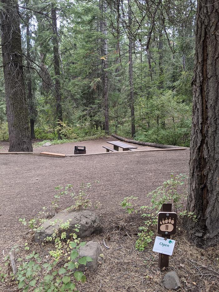 View of parking area with short set of stairs down to picnic table and fire ring.Site 11 at Spring Creek Campground.