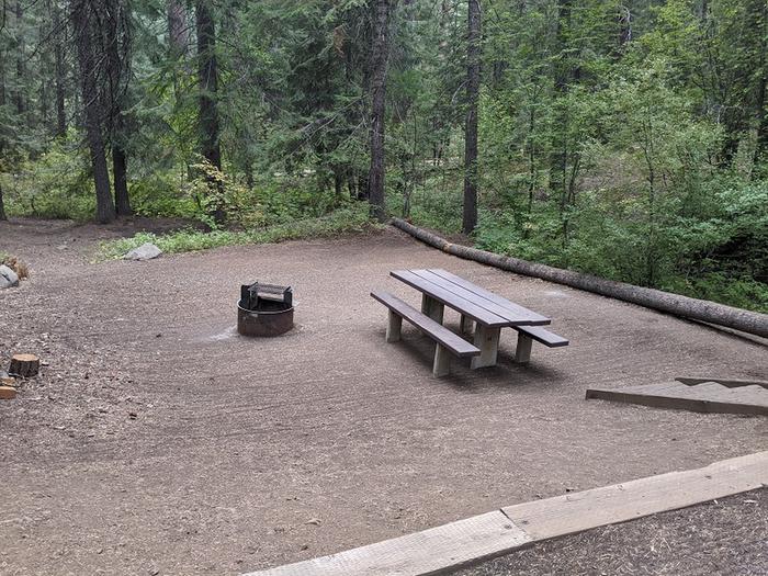 View of common area for Site 11 with picnic table and fire ring. Forest surrounding site. Picnic table and fire ring for Site 11.