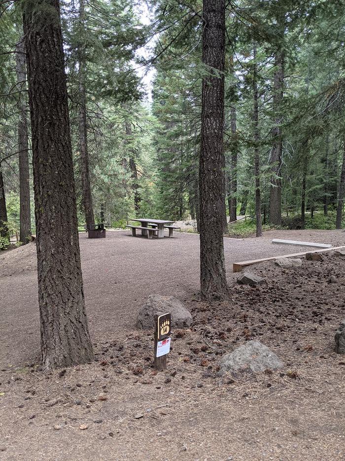 View of Site 13 parking area with adjacent picnic table and fire ring in forested setting.Site 13 in Spring Creek Campground.
