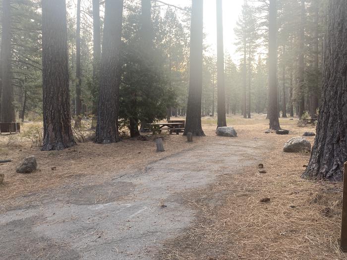 A photo of Site 168 of Loop AREA FALLEN LEAF CAMPGROUND at FALLEN LEAF CAMPGROUND with Picnic Table, Fire Pit, Food Storage