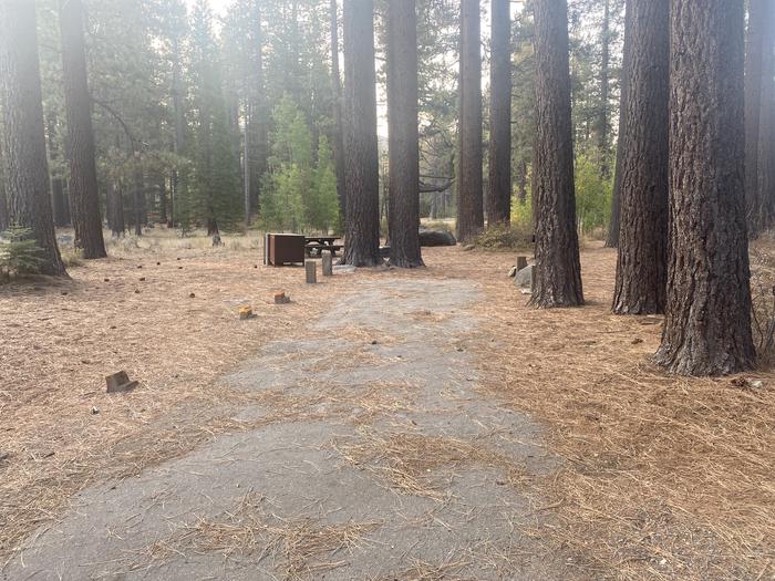 A photo of Site 155 of Loop AREA FALLEN LEAF CAMPGROUND at FALLEN LEAF CAMPGROUND with Picnic Table, Fire Pit, Food Storage