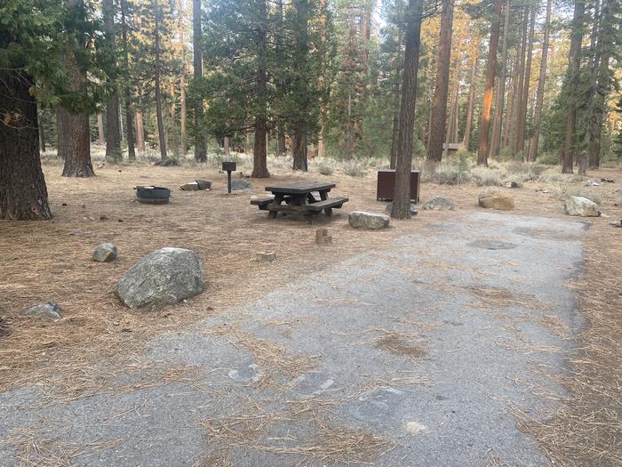 A photo of Site 141 of Loop AREA FALLEN LEAF CAMPGROUND at FALLEN LEAF CAMPGROUND with Picnic Table, Fire Pit, Food Storage