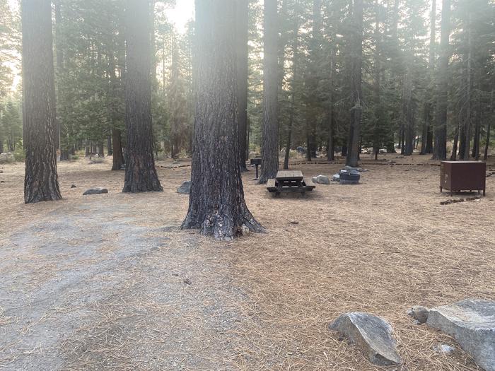 A photo of Site 147 of Loop AREA FALLEN LEAF CAMPGROUND at FALLEN LEAF CAMPGROUND with Picnic Table, Fire Pit, Food Storage